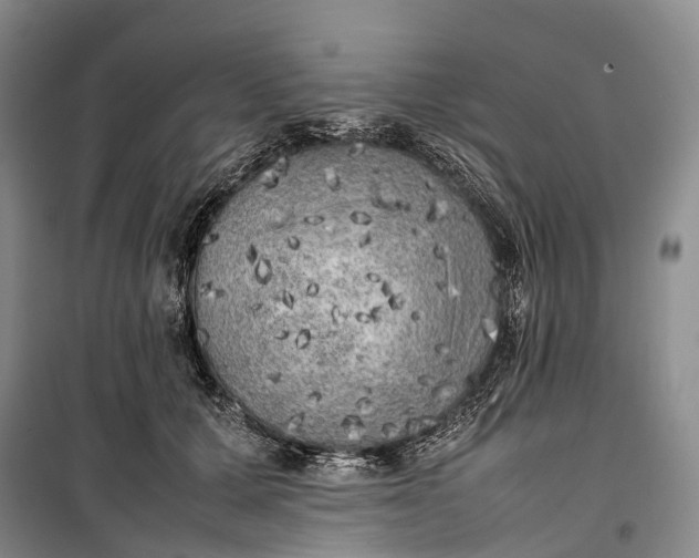 X0000100230607200806131338