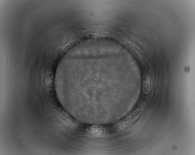 X0000100230608200806131338