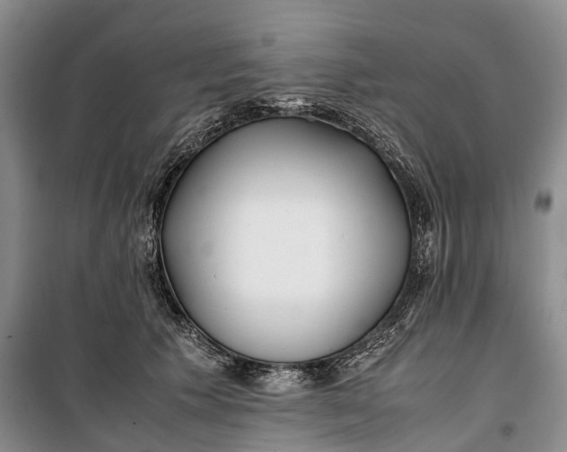 X0000100230609200806131338