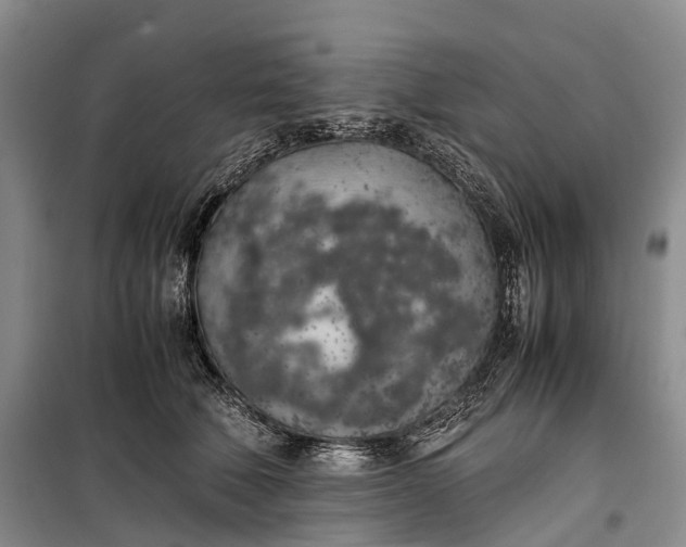 X0000100230610200806131338