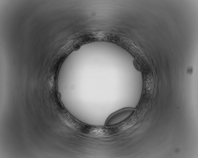 X0000100230611200806131338