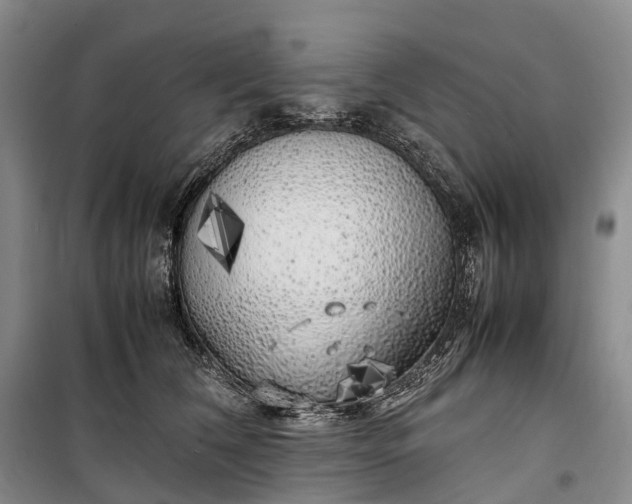 X0000100230612200806131338