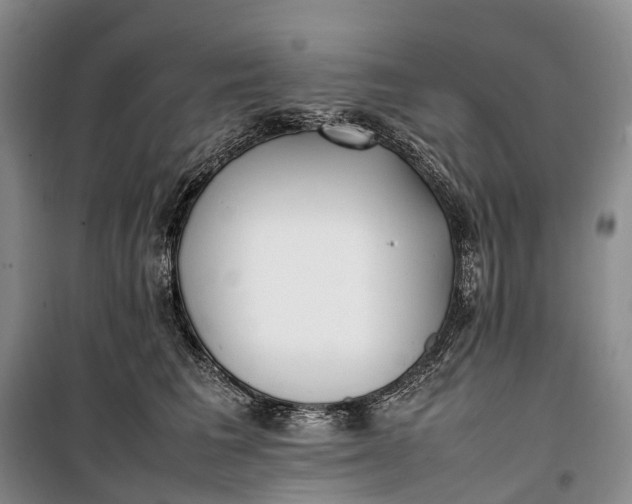 X0000100230613200806131338