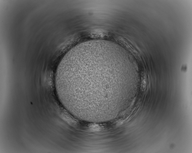 X0000100230616200806131337