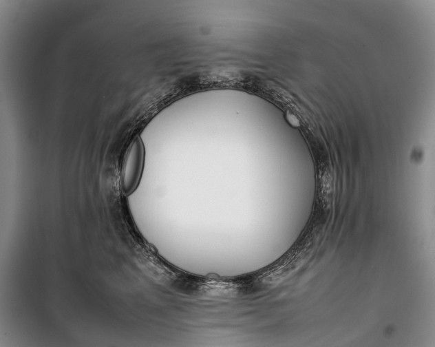 X0000100230617200806131337