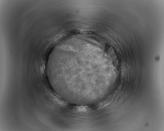 X0000100230618200806131337