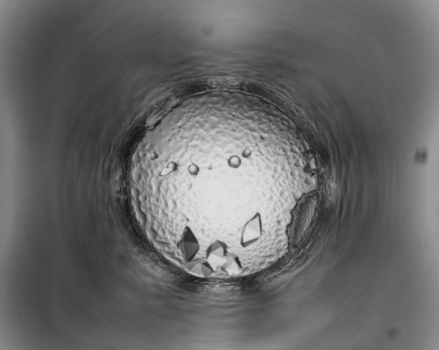 X0000100230619200806131337