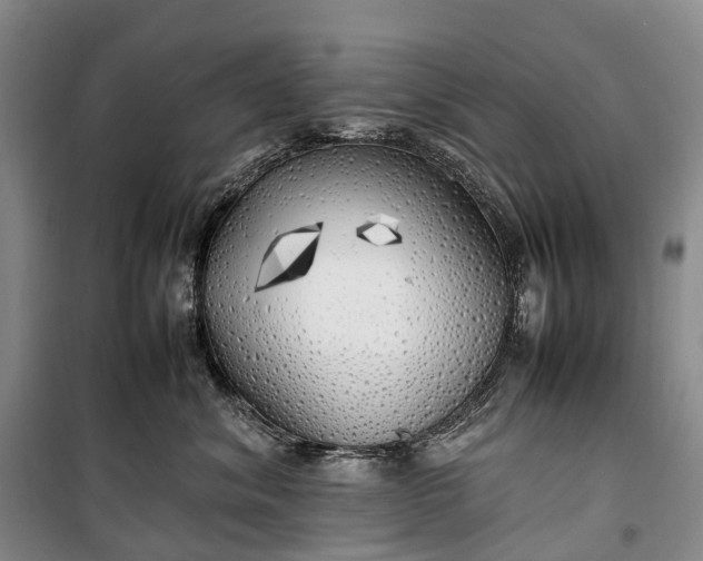 X0000100230620200806131337