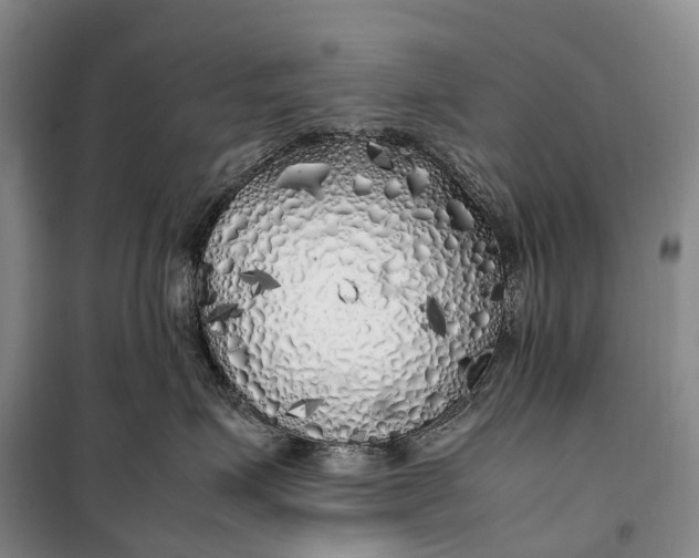 X0000100230623200806131337