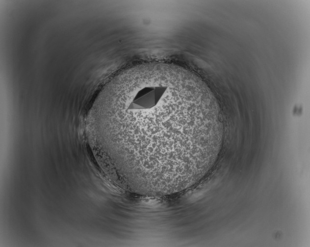 X0000100230624200806131337