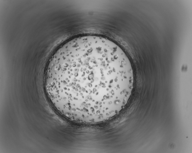 X0000100230625200806131337