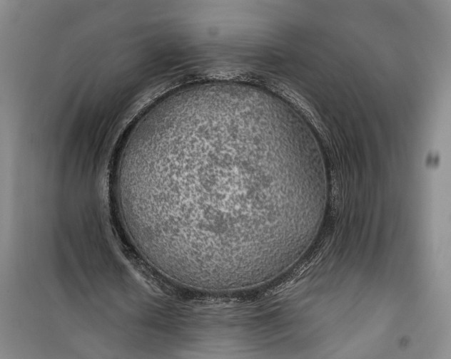 X0000100230626200806131337