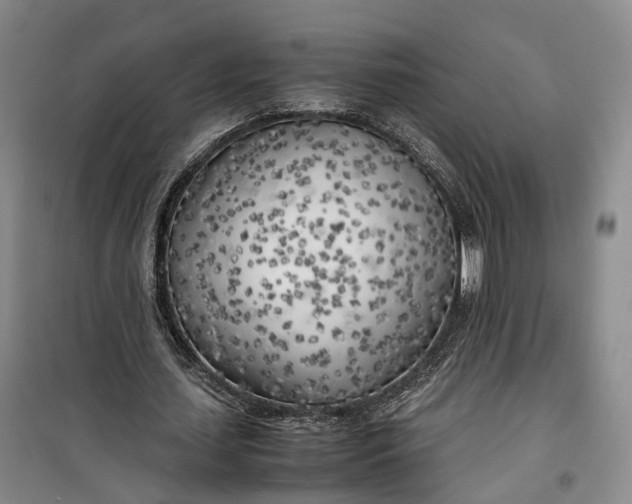 X0000100230627200806131337