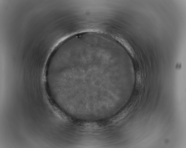 X0000100230628200806131337