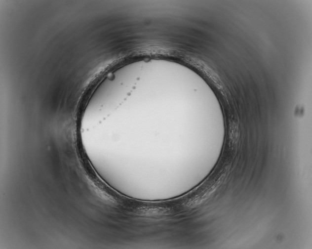 X0000100230629200806131337