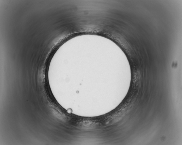 X0000100230632200806131337