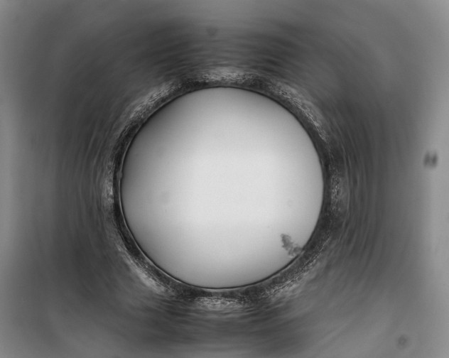 X0000100230633200806131337