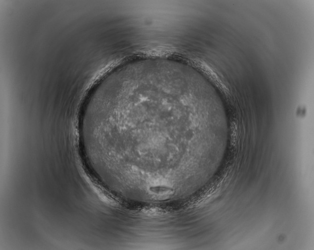 X0000100230634200806131337