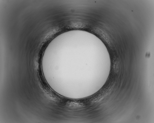 X0000100230635200806131337