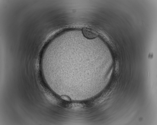 X0000100230636200806131337