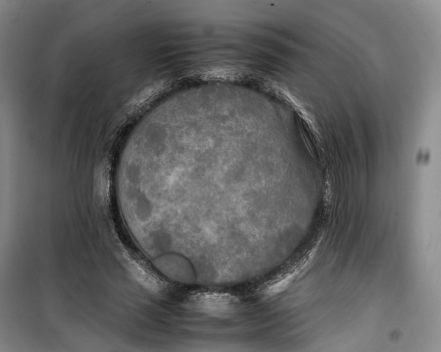 X0000100230637200806131337