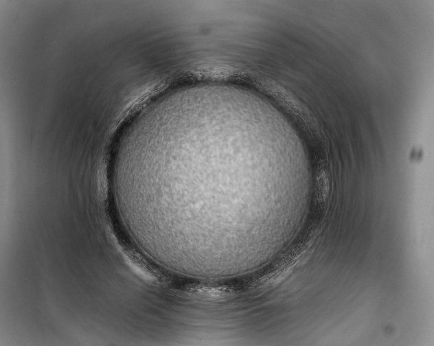 X0000100230638200806131337