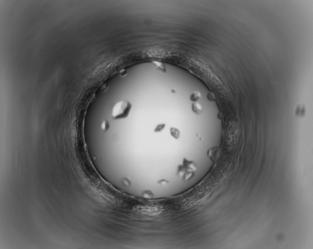 X0000100230639200806131337