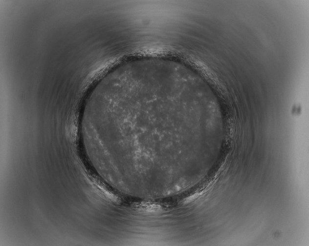 X0000100230640200806131337