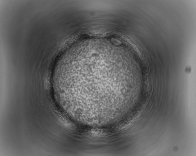 X0000100230641200806131337