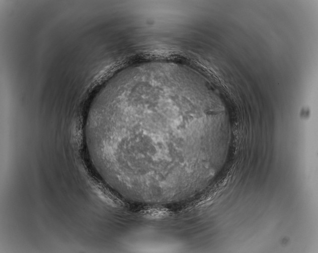 X0000100230642200806131337