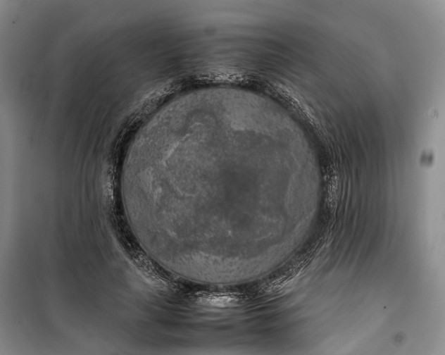 X0000100230643200806131337