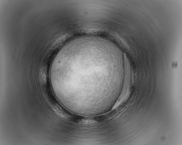 X0000100230644200806131337