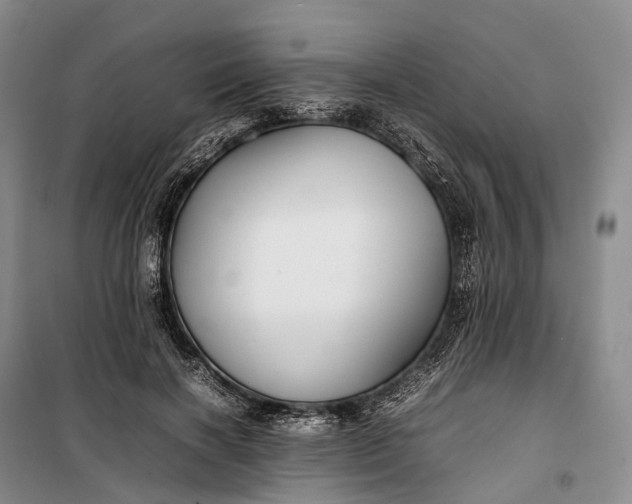 X0000100230646200806131337