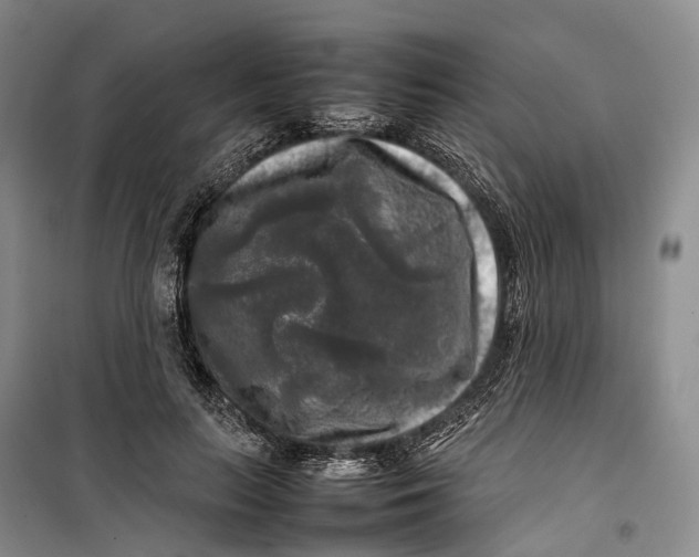 X0000100230647200806131337