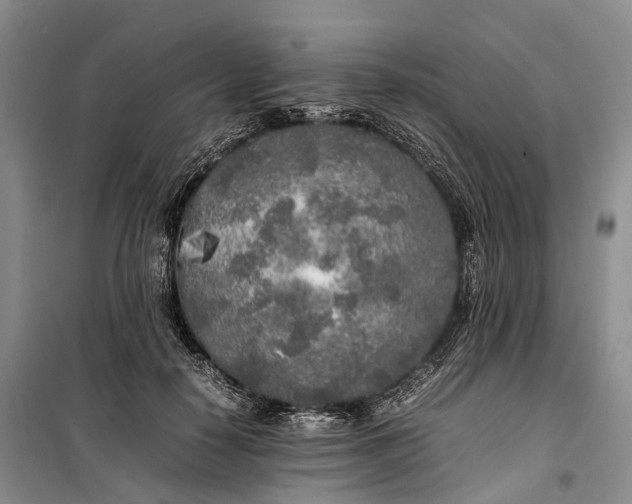 X0000100230650200806131337