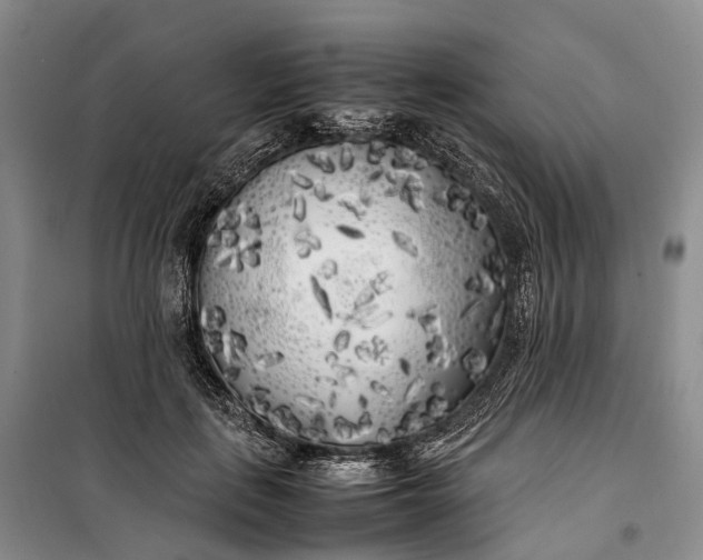 X0000100230651200806131337