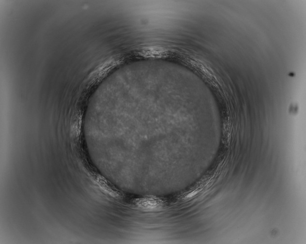 X0000100230652200806131337