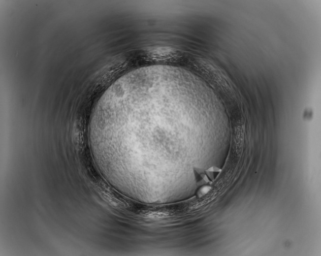 X0000100230653200806131337