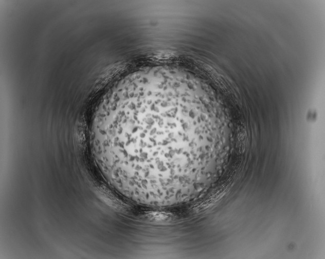 X0000100230654200806131337