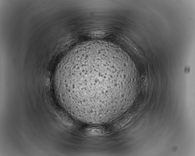 X0000100230655200806131337