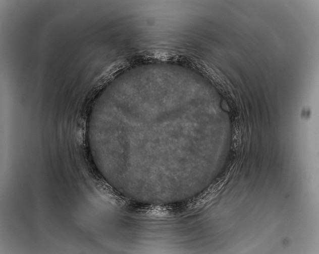 X0000100230656200806131337