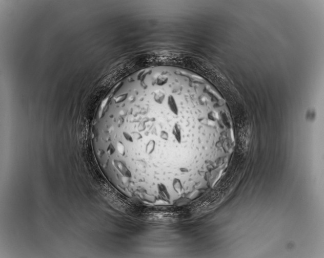 X0000100230657200806131337