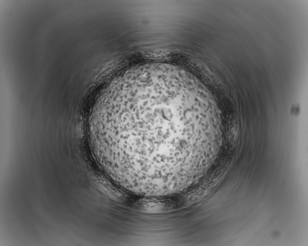 X0000100230658200806131337