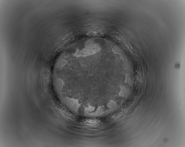 X0000100230659200806131337