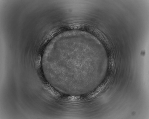 X0000100230660200806131337