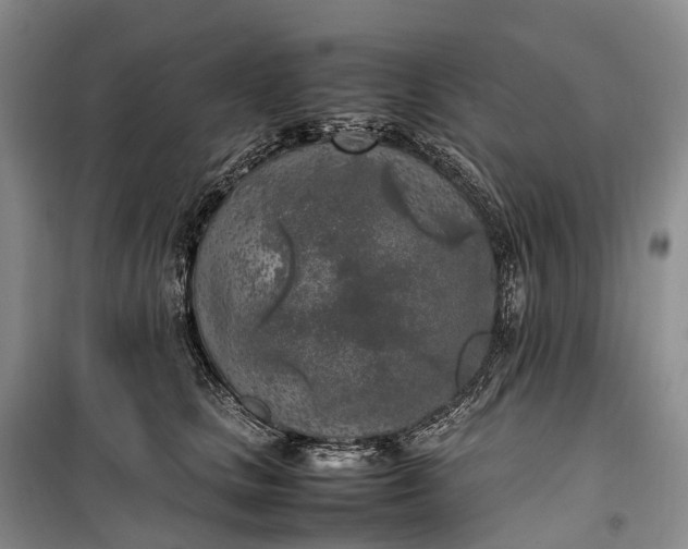 X0000100230661200806131337