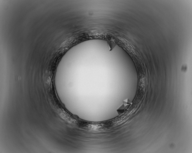 X0000100230662200806131337