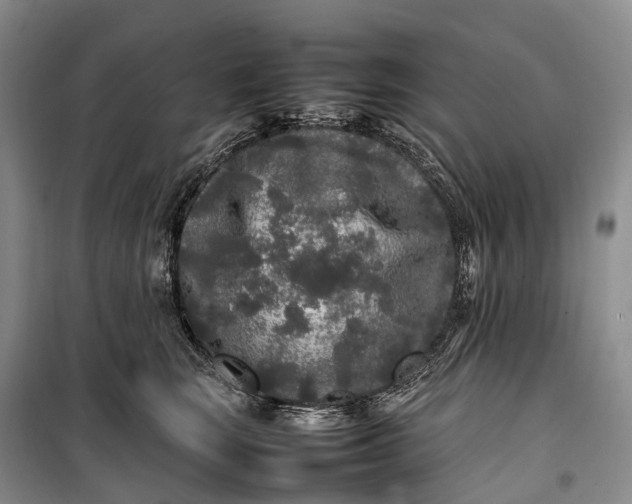 X0000100230663200806131337