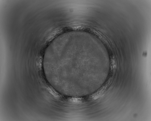 X0000100230664200806131337