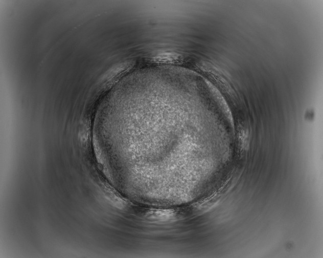 X0000100230665200806131337